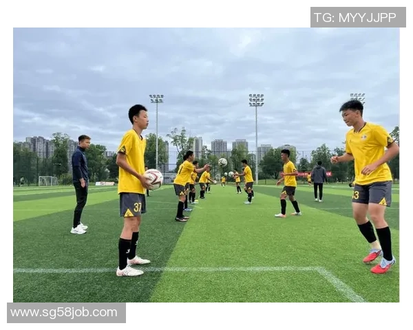 梦幻足球星星点亮绿茵赛场激发无限激情与荣耀